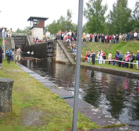 Nipunlasku Varistaipaleessa 2007 - kuva 6